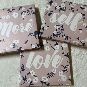 Lot of 3 More Self Love Canvas Wall Decor Hangings Pink Floral 8" Square